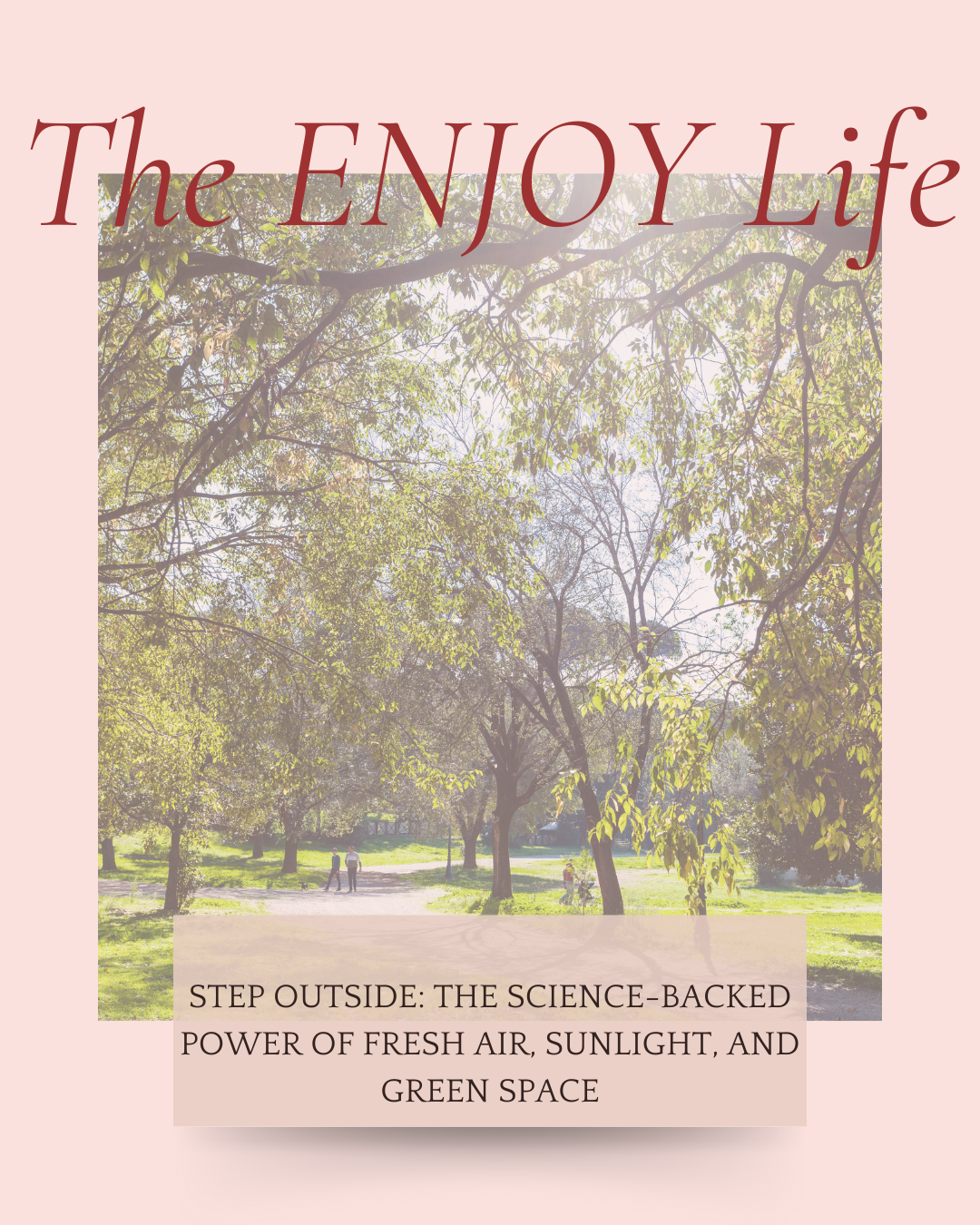 Step Outside: The Science-Backed Power of Fresh Air, Sunlight, and Green Space